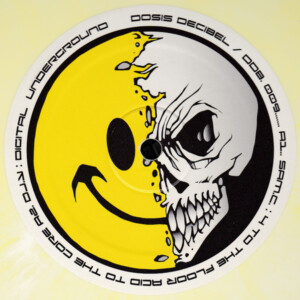 Vinyl / Neuf Break Dub Hardtek Tribe Freetekno Techno Hardtechno Trance - Dosis Decibel Records Ddb. 009 Gools & Goblins