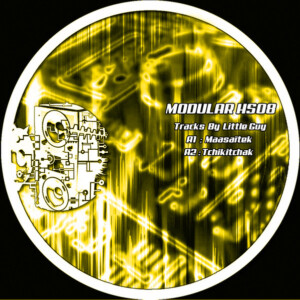 Vinyl / Neuf Hardtek Tribe Freetekno Techno Hardtechno Trance - Modular Hs08 – Little Guy 12″