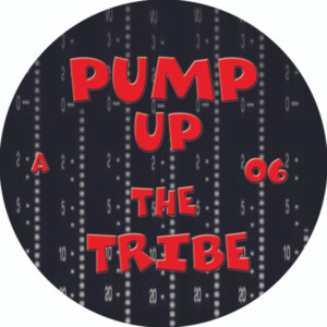Vinyl / Neuf Hardtek Tribe Freetekno Techno Hardtechno Trance - Pump Up The 06 – Insane Teknology 12″