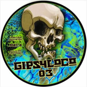 Neuf / Techno, Hard Techno & Trance Vinyl House Electro Minimal - Gipsyloco Gpsly 03 Camatique, D-clik Fm 12″