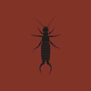 Neuf / Techno, Hard Techno & Trance Vinyl - Zodiak Commune Zc013 The Earwig Ep Yakh 12″,