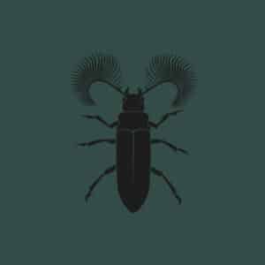 Neuf / Techno, Hard Techno & Trance Vinyl - Zodiak Commune Zc016 Featherhorned Beetle Ep Mtl Pozek 12″,