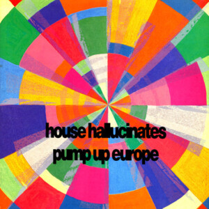 Vinyl / House Electro Minimal Occasion - Ld Records 8823 Hallucinates  Pump Up Europe Various 2xlp, Comp