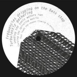 Neuf / Techno, Hard Techno & Trance Vinyl Break Dub House Electro Minimal - Subsonic (4) 006 Computer Controlled (2),