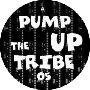 Neuf / Vinyl Hardtek, Tribe et Freetekno - Pump Up The 05 Insane Teknology 12'