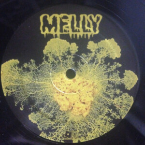 Vinyl / Neuf Hardtek Tribe Freetekno - Toolbox Killerz 36 – Melly (2) 12', Comp
