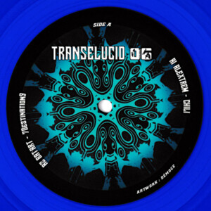 Vinyl / Neuf Hardtek Tribe Freetekno Techno Hardtechno Trance - Transelucid 06  Various 12', Blu