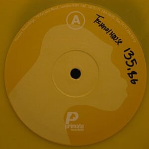 Techno, Hard Techno & Trance / Vinyl House Electro Minimal Vinyles d’occasion - Primate Recordings Pmten 003 Moment