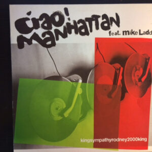 Vinyl / Neuf Break Dub - Kung Fu Fighting Recording LA PURE FIGHT 010 Kingsympathyrodney2000king Ciao! Manhattan Feat. Mike