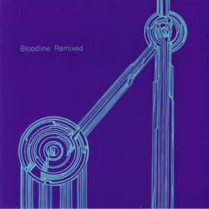 Vinyl / Neuf House Electro Minimal Techno Hardtechno Trance - OPENTHENEXT OTN02 Bloodline Remixed UMO (6) 12"
