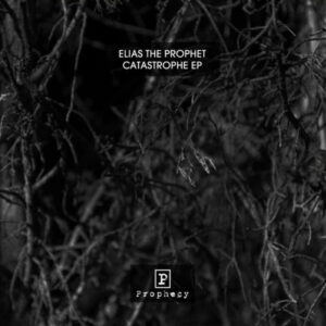 Vinyl / Neuf Techno Hardtechno Trance - Prophecy (8) PROPHECY01 Catastrophe EP Elias The Prophet 12",