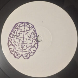 Vinyl / Neuf Hardcore Hardtek Tribe Freetekno - Color Your Brain PURPLE Various 12"