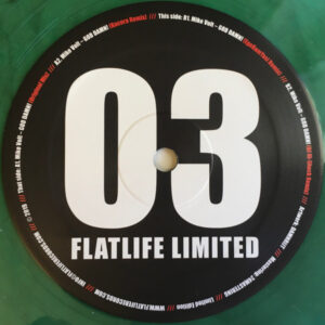 Vinyl / Neuf Break Dub House Electro Minimal Techno Hardtechno Trance - Flatlife Limited FLATLTD 003 God Damn! Mike Volt