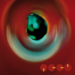 Vinyl / Neuf Hardcore - Accu Records 002 The Cailleach EP Paul Van Der Wees 12",