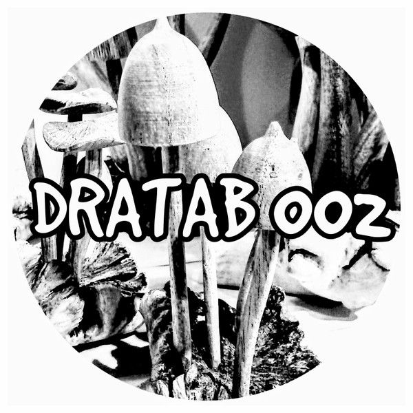 Vinyl / Neuf Hardtek Tribe Freetekno Techno Hardtechno Trance - Bebert Brothers Prod DTRB 002 Dratab 12", Ltd, Mar