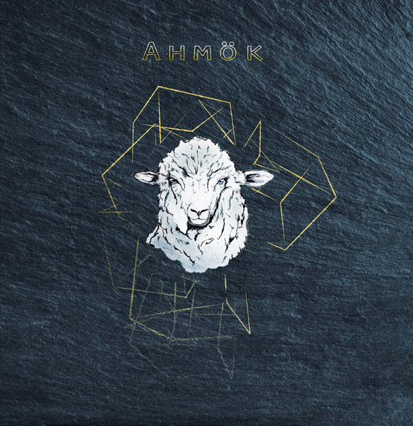 Vinyl / Neuf Hardcore House Electro Minimal Techno Hardtechno Trance - Not On Label AMK01 AHMÖK 12", EP
