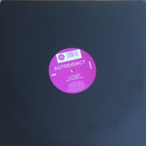 Vinyl / Neuf House Electro Minimal Techno Hardtechno Trance - Electric Labelland ELD004 Top Form Autodidact 12"