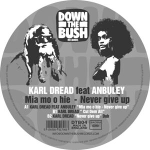Vinyl / Neuf Break Dub House Electro Minimal - Down The Bush Records DTB04 Never Give Up Karl Dread 12", EP