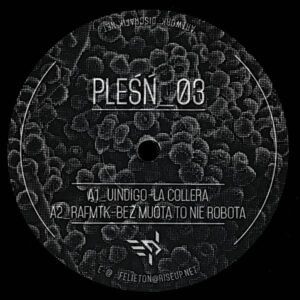 Vinyl / Neuf Hardtek Tribe Freetekno Techno Hardtechno Trance - Pleśń Plesn 03 Various 12", EP