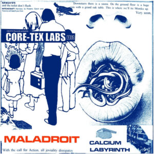 Vinyl / Neuf Hardcore - CORE-TEX Labs., Labs. LABS 15, CRTX15 Calcium Labyrinth Maladroit 12"