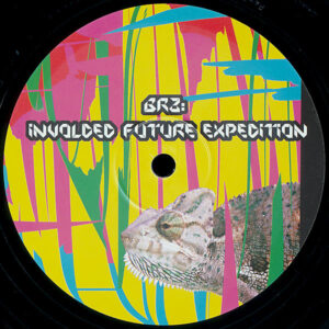 Vinyl / Neuf Hardcore Hardtek Tribe Freetekno - Origami Records CHAMELEON bRz Mono-Amine 12"