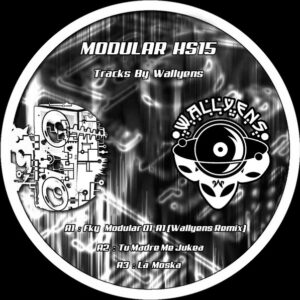 Vinyl / Neuf Hardtek Tribe Freetekno - Modular HS15 Wallyens 12"