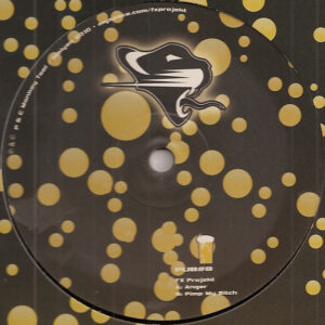 Vinyl / Neuf Break Dub - Destpub PUB#9 Anger Pimp My Bitch The FX Projekt 10"
