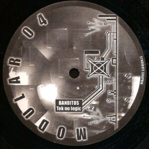 Vinyl / Neuf Hardtek Tribe Freetekno - Modular 04 Various 12"