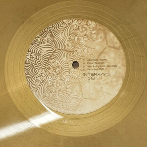Vinyl / Neuf Techno Hardtechno Trance - Interwave IW013 013 Various 12", Gol