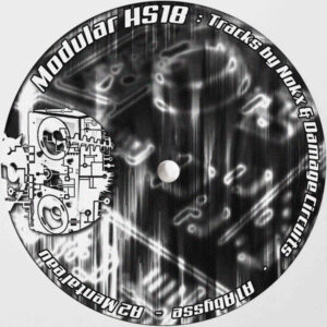 Vinyl / Neuf Hardtek Tribe Freetekno - Modular HS18 Nokx, Damage Circuits 12"