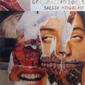 Vinyl / Neuf Hardcore Rock Punk - Hirntrust Grind Media HIRNTRUST27 Salvia Mindblast Gorgonized Dorks 7", S/Sided, Ltd