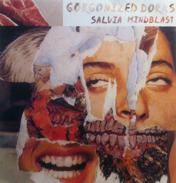 Vinyl / Neuf Hardcore Rock Punk - Hirntrust Grind Media HIRNTRUST27 Salvia Mindblast Gorgonized Dorks 7", S/Sided, Ltd
