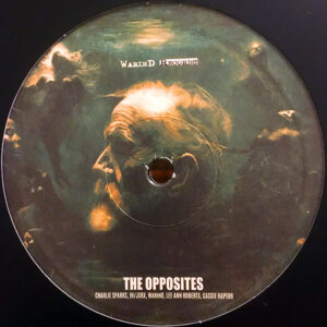 Vinyl / Neuf Techno Hardtechno Trance - WarinD Records WRV06 The Opposites Various 12"