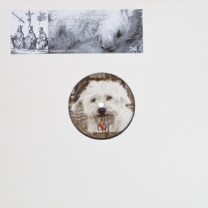 Vinyl / Neuf Hardcore - Inquisition Records Inq 3 Catharsis Inquisitive Judgement 12"