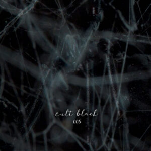 Vinyl / Neuf Hardtek Tribe Freetekno - Cult Collective Black .BLK5 LTD. 005 Unknown Artist 12"