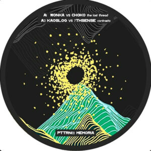 Vinyl / Neuf Hardtek Tribe Freetekno - Erratic Patterns PTTRN02 Memoria Various 12"