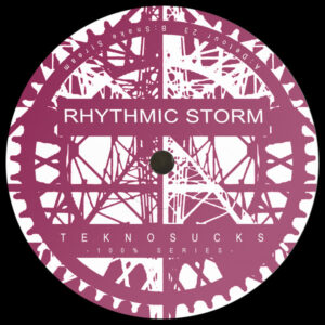 Vinyl / Neuf Hardtek Tribe Freetekno - Tekno Sucks Records TSR100% RHYTHMICSTORM 100% Rhythmic Storm 12", EP