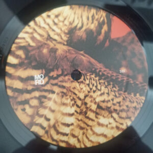 Vinyl / Neuf Techno Hardtechno Trance - Mord MORD113 Highland Frequencies EP Amorphic & Tensal 12",