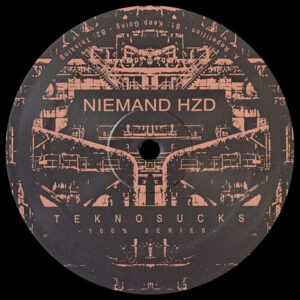 Vinyl / Neuf Hardtek Tribe Freetekno - Tekno Sucks Records TSR100%NIEMANDHZD 100% Niemand HZD 12", EP