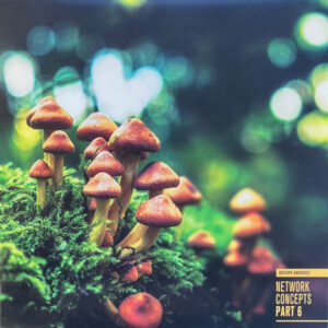 Vinyl / Neuf Hardtek Tribe Freetekno - Biotope Archives BIOTOPE06 Network Concepts Part 6 Various 12", EP