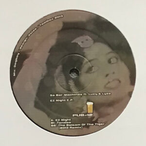 Vinyl / Neuf Break Dub - Destpub PUB#12 Ez Night Sa Bat' Machines 12"