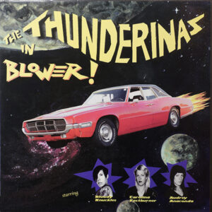Vinyl / Neuf Hardcore - The Homewrecker Foundation HWF 4 Blower! Thunderinas LP