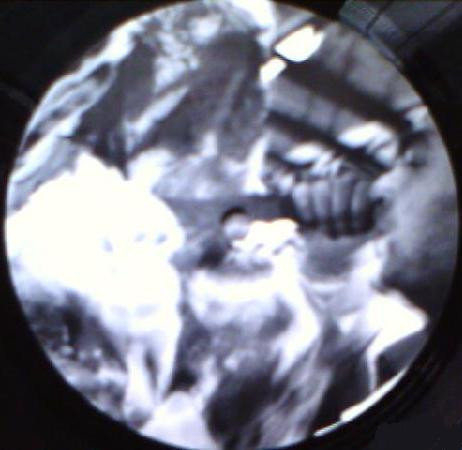 Vinyl / Neuf Break Dub Techno Hardtechno Trance - C.Rom 001 C-Rom 12"
