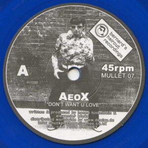 Vinyl / Neuf House Electro Minimal Techno Hardtechno Trance - Bernard's Haircut MULLET 07 Don't Want U Love Plenty