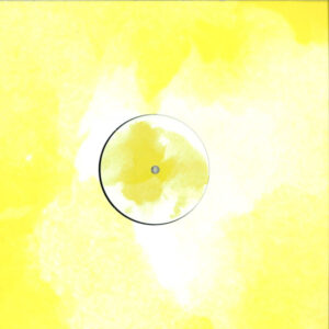 Vinyl / Neuf Techno Hardtechno Trance - Secretsundaze secret017 Finish Me EP Endian 12",