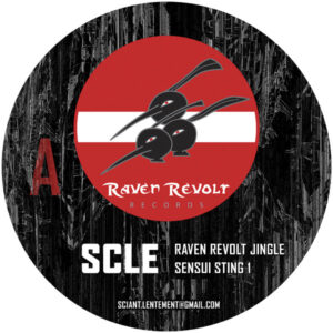 Vinyl / Neuf Hardtek Tribe Freetekno - Raven Revolt Records RRR1 01 Hein!? & SCLE 12", Ltd