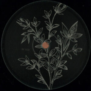 Vinyl / Neuf Techno Hardtechno Trance - Shaded Music shavin002 Reverse Stories Calli Pagalve 12"