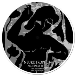 Vinyl / Neuf Hardcore Techno Hardtechno Trance - Neurotrope NRT034 034 bRz 12"