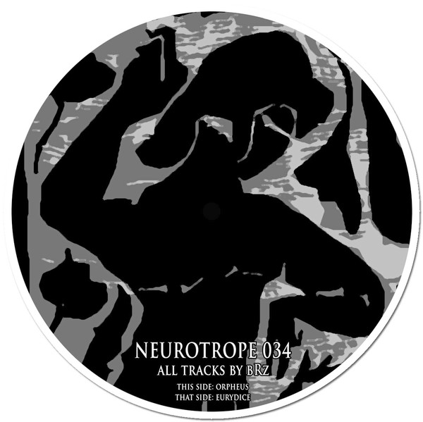 Vinyl / Neuf Hardcore Techno Hardtechno Trance - Neurotrope NRT034 034 bRz 12"