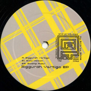 Vinyl / Neuf Break Dub - Prat Records #01 Ziggurah Vertigo EP Bintree 12",